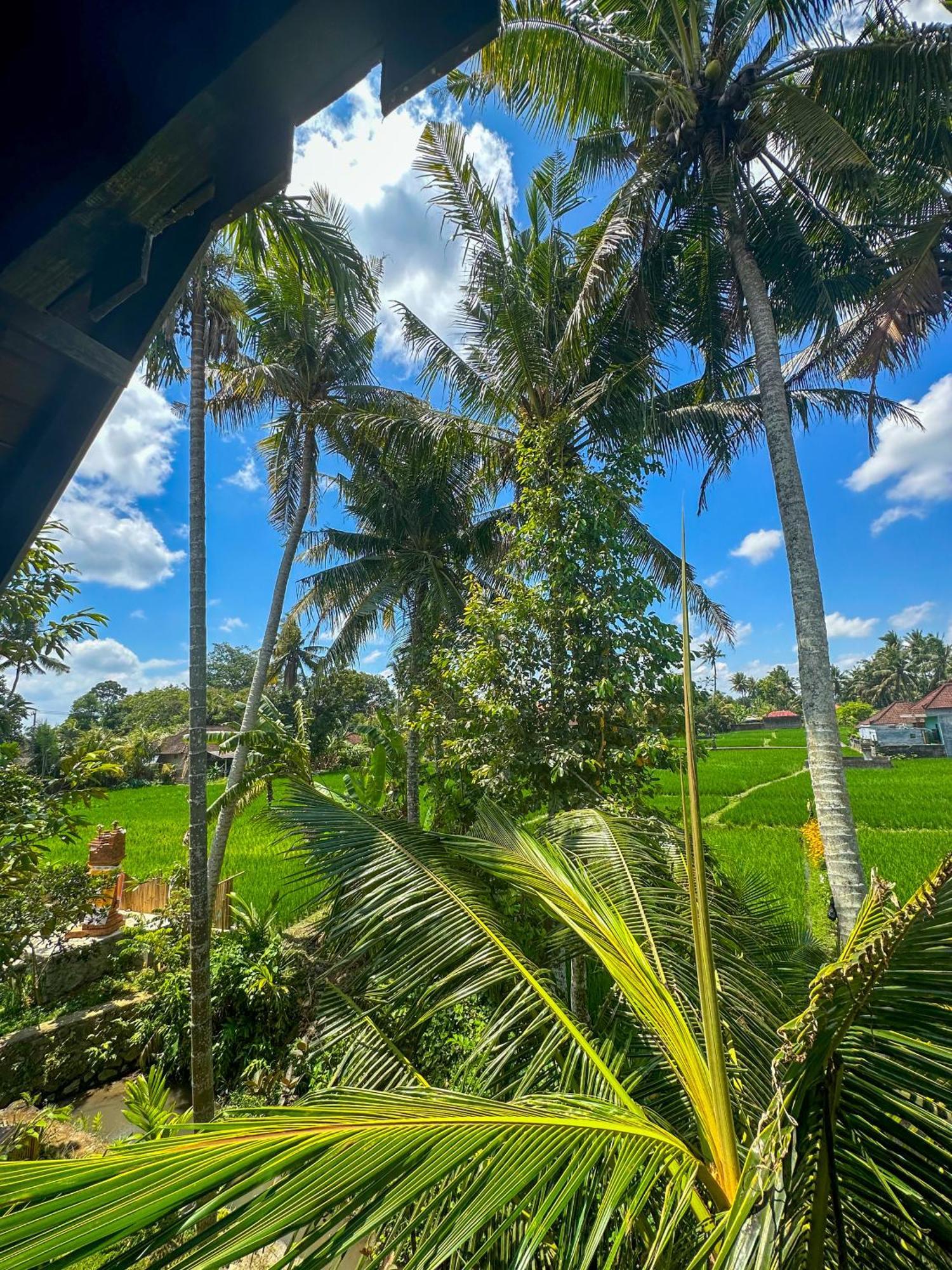 Nunu Bali Eco Friendly Retreat Hotel Canggu  Bagian luar foto