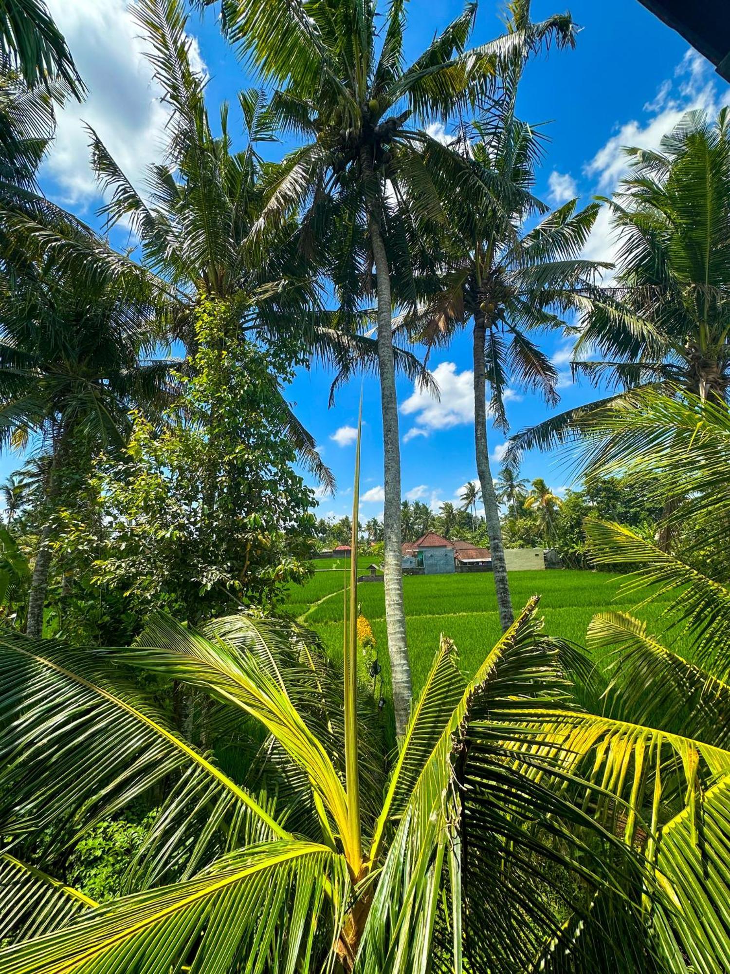 Nunu Bali Eco Friendly Retreat Hotel Canggu  Bagian luar foto