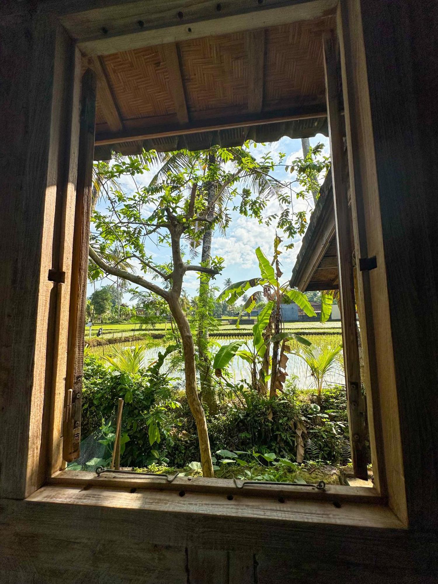 Nunu Bali Eco Friendly Retreat Hotel Canggu  Bagian luar foto