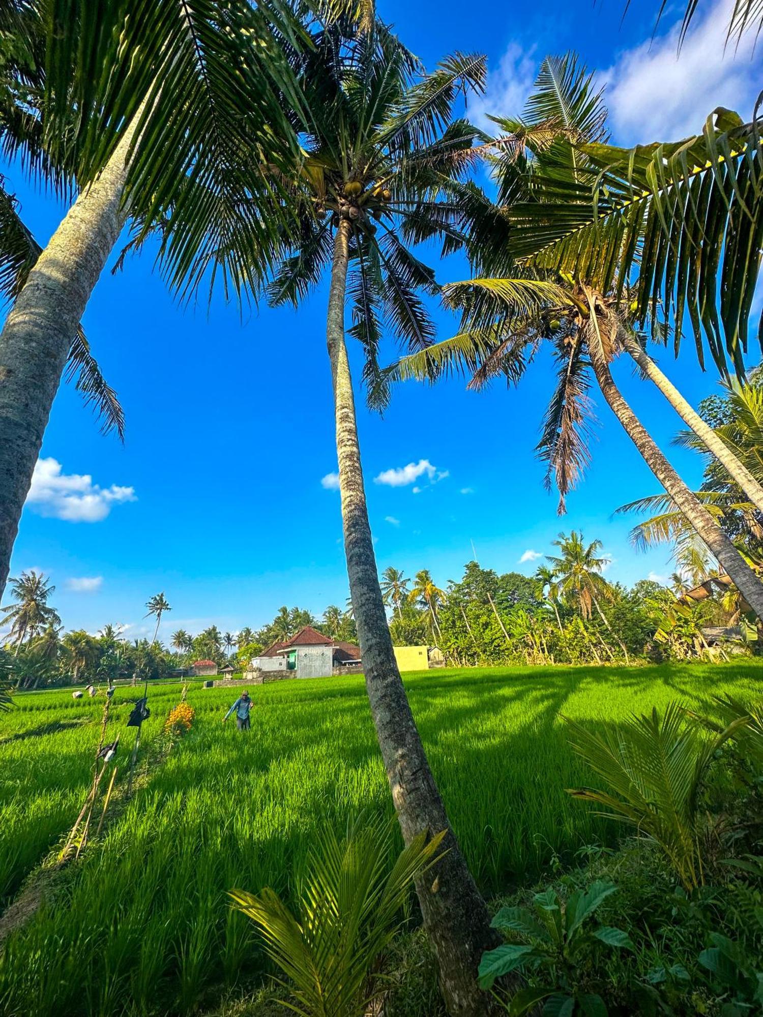 Nunu Bali Eco Friendly Retreat Hotel Canggu  Bagian luar foto